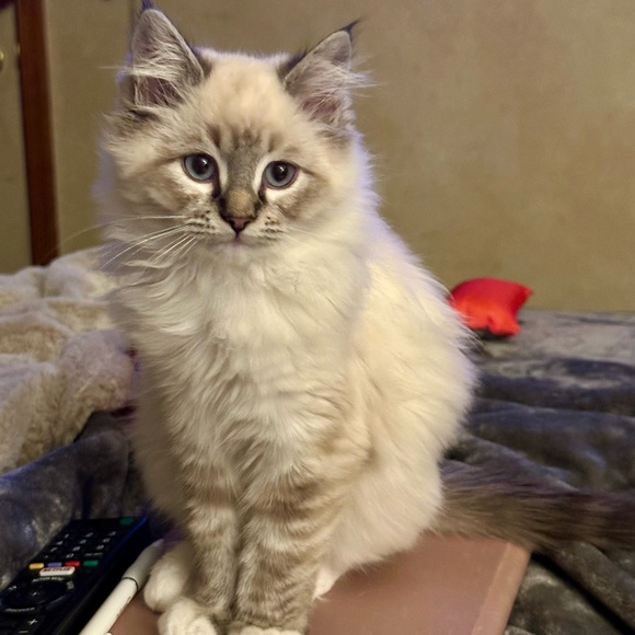 Meet your Posher, Christina - Picture 9 of 15